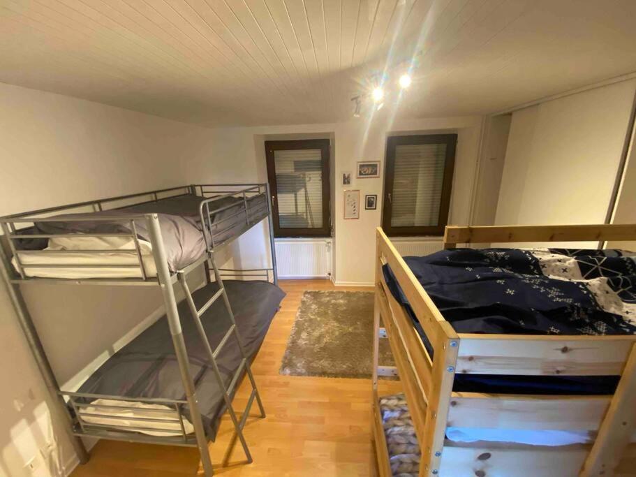 Appartement Emile Galle. Goetzenbruck Exterior photo